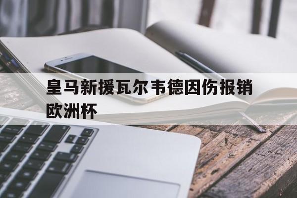 皇马新援瓦尔韦德因伤报销欧洲杯