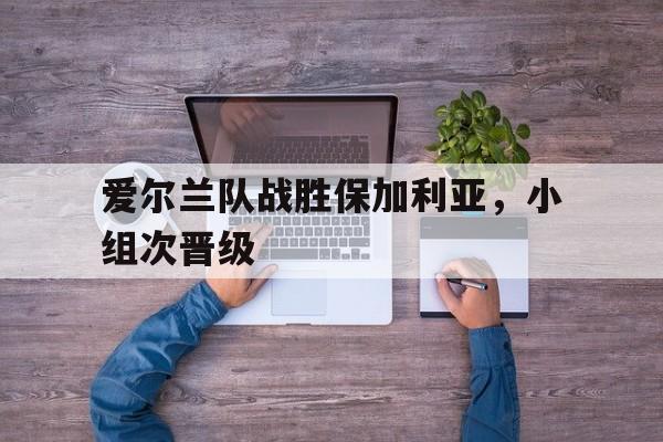 开云综合app登录入口-爱尔兰队战胜保加利亚，小组次晋级